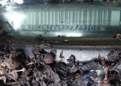 2005 Chevrolet Silverado 1500 Ls из США, поврежденный, VIN 1GCEK14V95Z271105